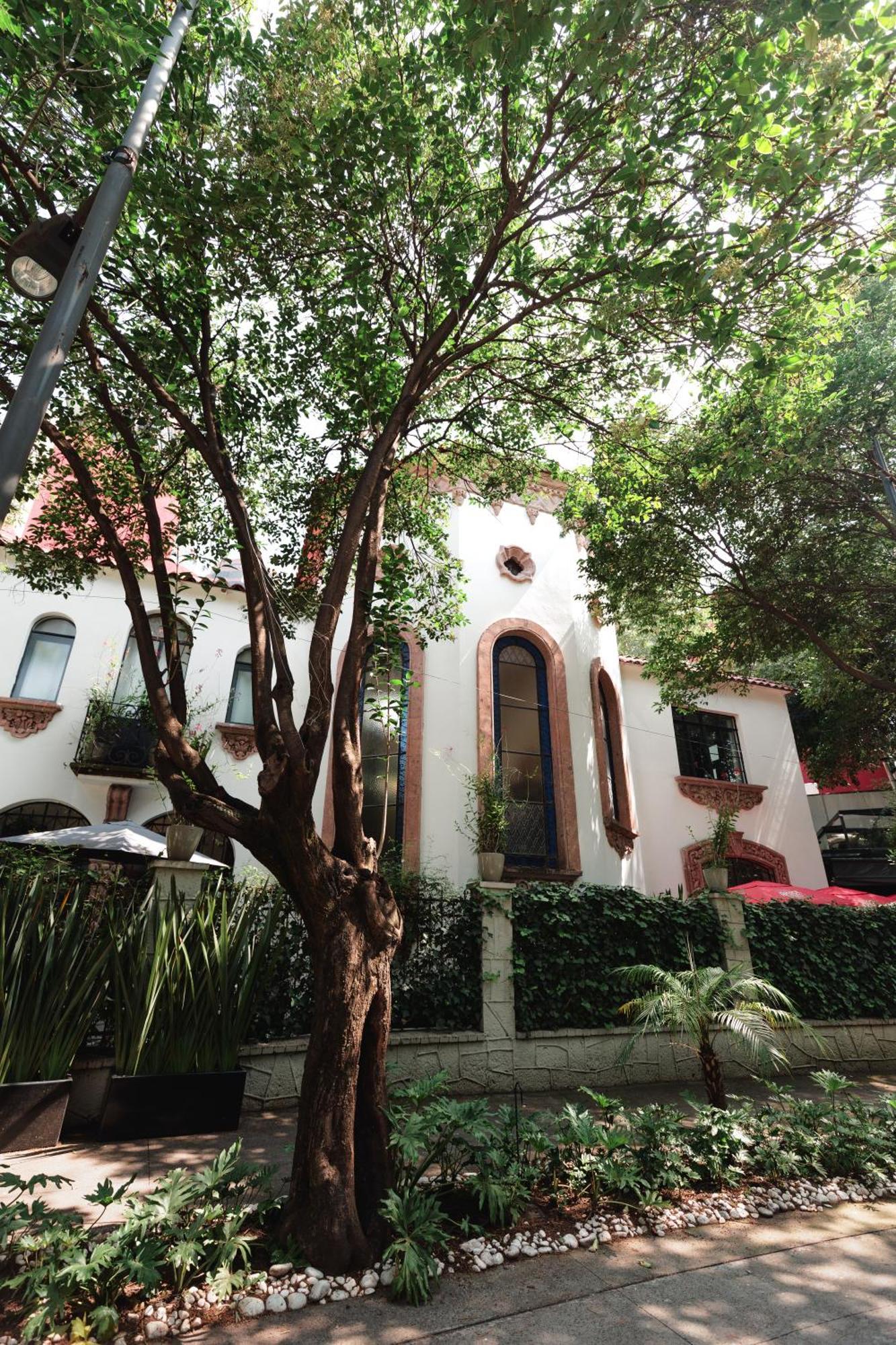 Orchid House Polanco 호텔 멕시코 시 외부 사진