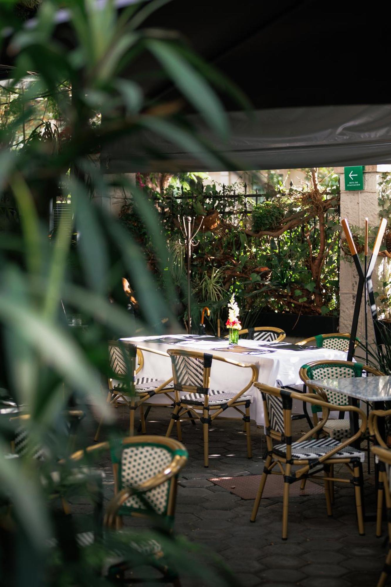 Orchid House Polanco 호텔 멕시코 시 외부 사진