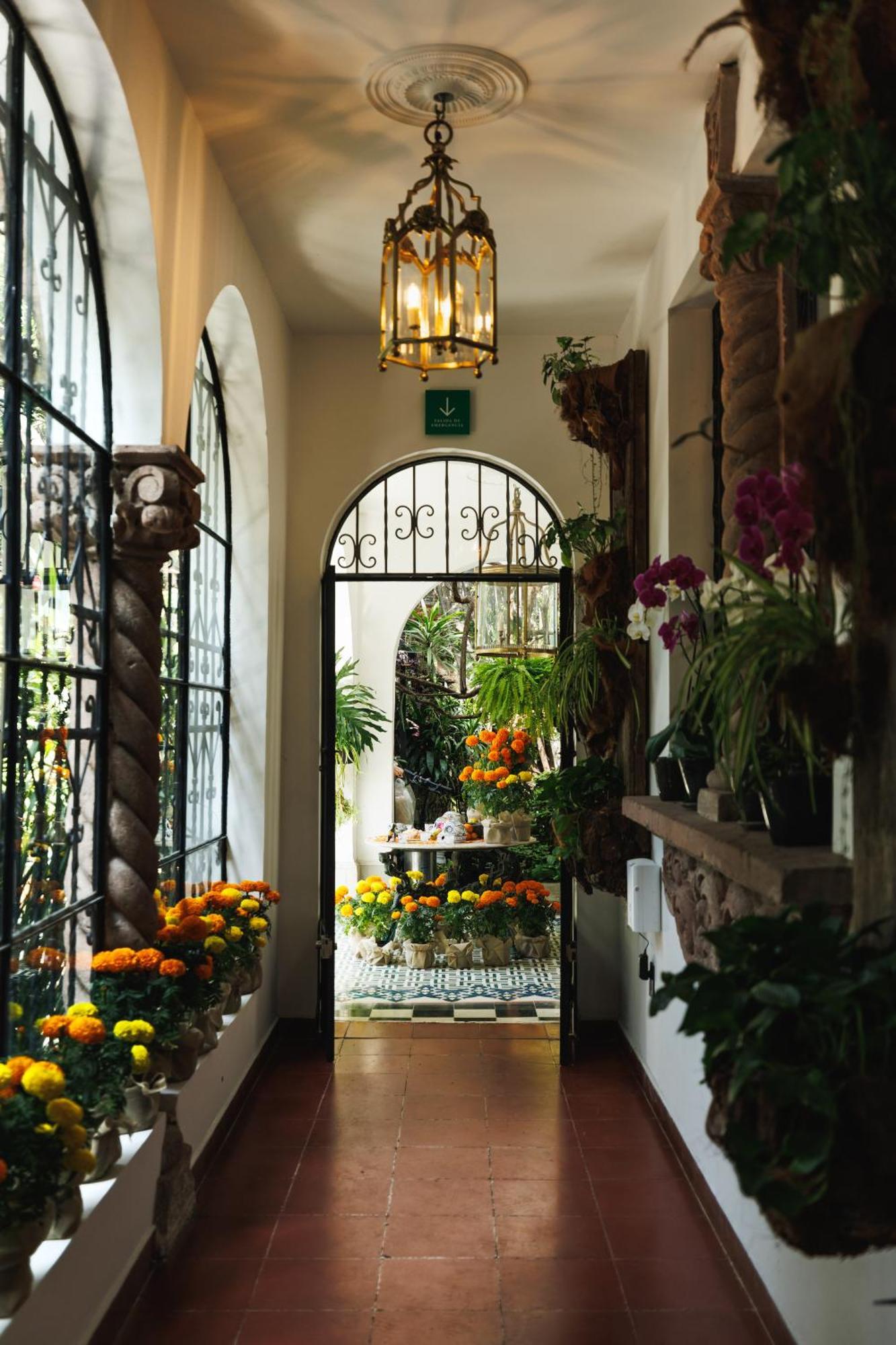 Orchid House Polanco 호텔 멕시코 시 외부 사진