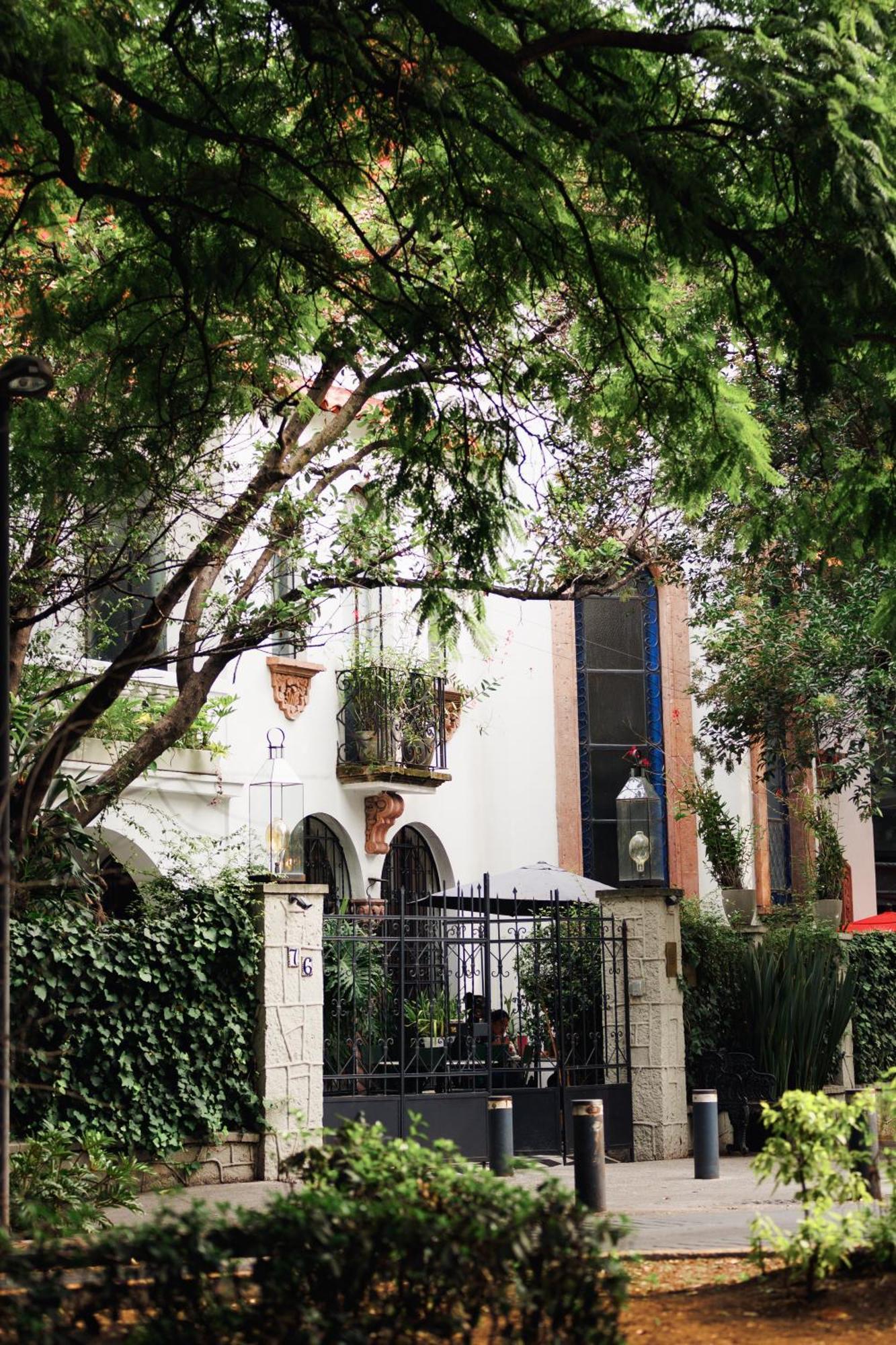 Orchid House Polanco 호텔 멕시코 시 외부 사진