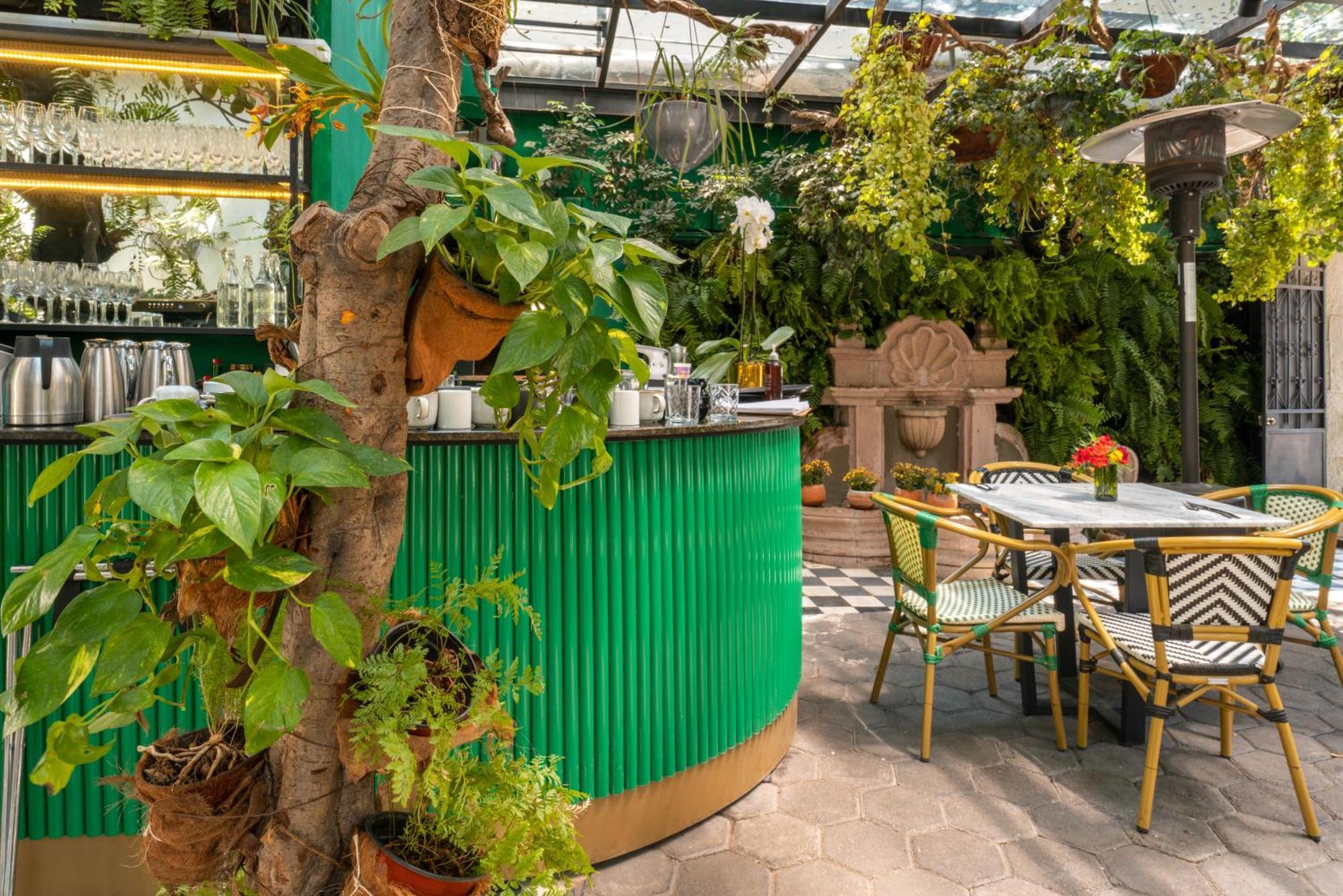 Orchid House Polanco 호텔 멕시코 시 외부 사진